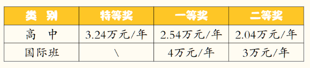 2023年成都市成都棠湖外國(guó)語學(xué)校有沒有獎(jiǎng)學(xué)金，政策是什么