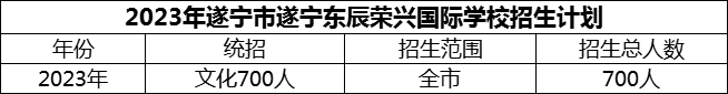 2024年遂寧市遂寧東辰榮興國際學(xué)校招生計劃是多少？