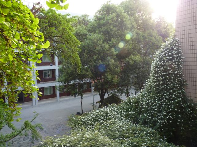 石室聯(lián)合中學蜀華分校怎么樣？