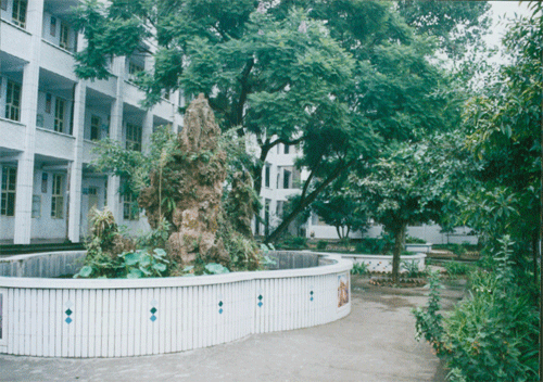 內(nèi)江十三中地址在哪？