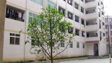 威遠(yuǎn)自強(qiáng)中學(xué)是民辦還是公辦學(xué)校？
