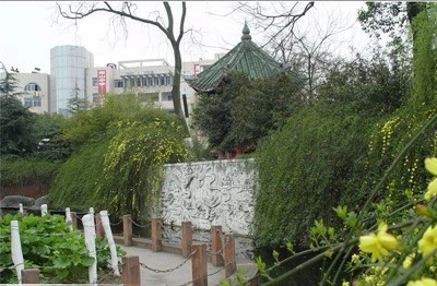 綿陽南山中學(xué)2019年統(tǒng)招計劃