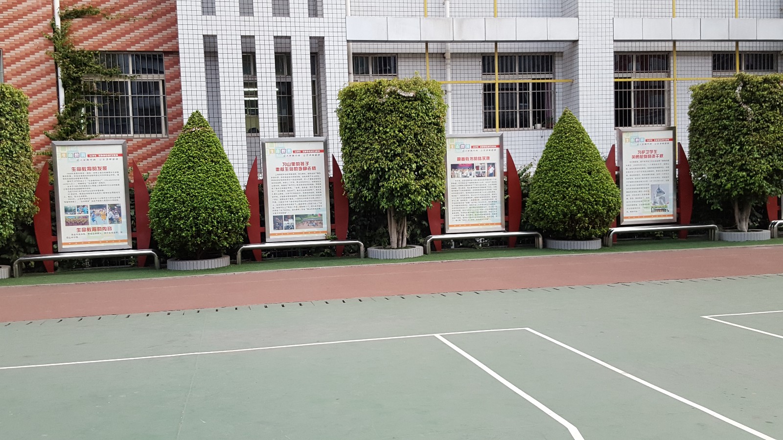 攀枝花市外國語學校在什么地方？