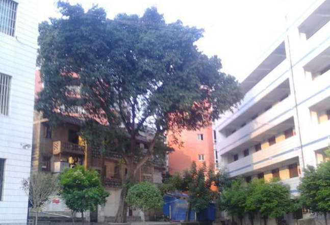 資中縣太平中學(xué)地理位置在哪里？