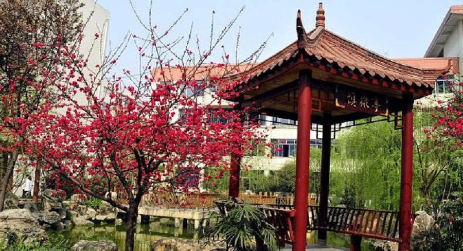 蜀城中學(xué)2020年中考錄取分?jǐn)?shù)線是多少？