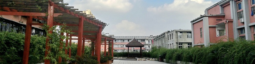 成都市通錦中學(xué)2019年中考分?jǐn)?shù)線是多少？