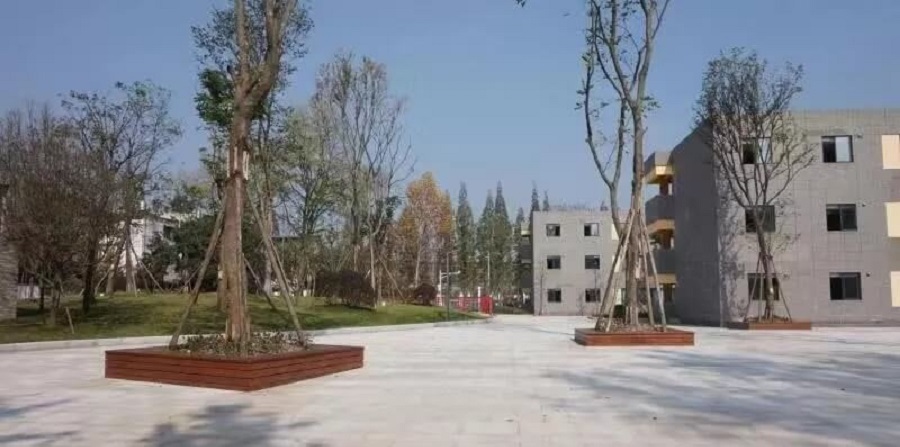 成都綿實外國語學校2019年招生公告公布了嗎？