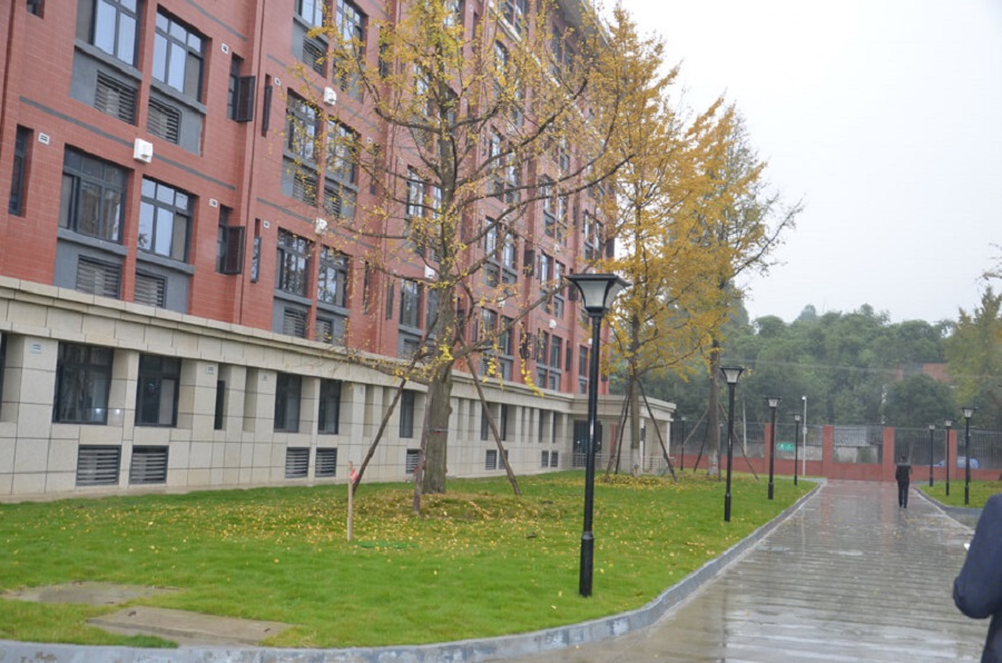 永安中學2019年升學率是多少？