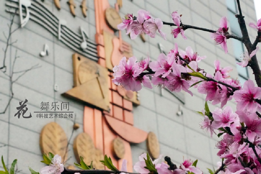 石室天府中學(xué)環(huán)境好不好、怎么樣？
