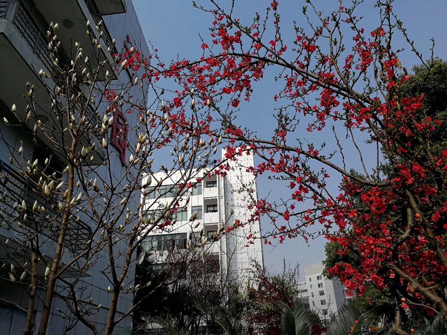 綿陽南山中學(xué)教學(xué)質(zhì)量怎么樣？