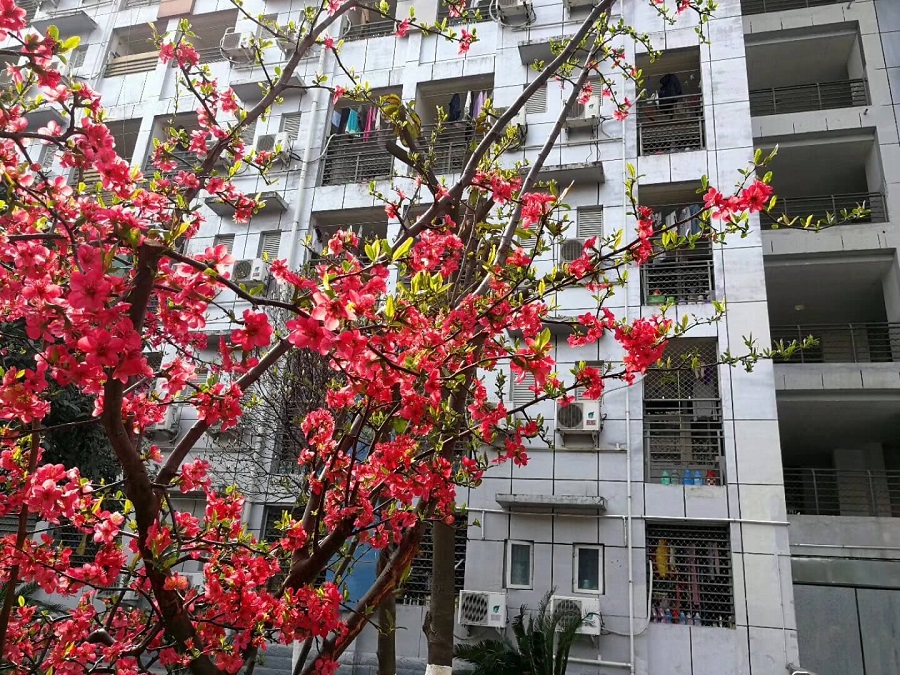綿陽(yáng)南山中學(xué)是一所公辦的高中吧？