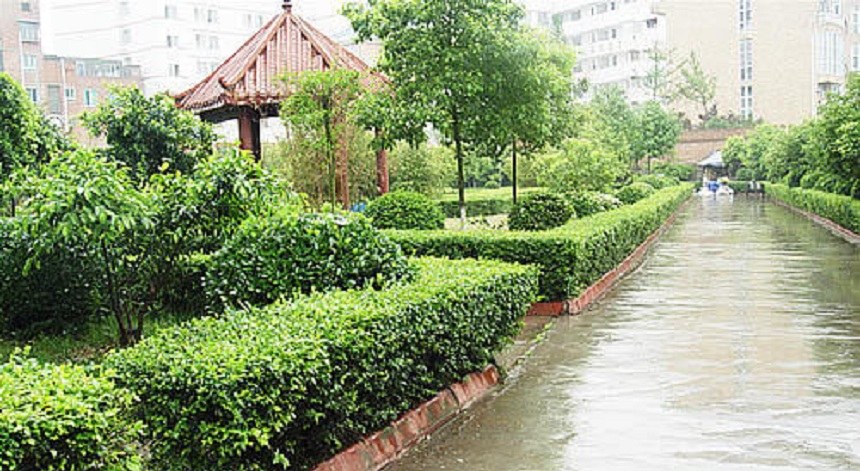 華興中學(xué)2019年中考分數(shù)線是多少？