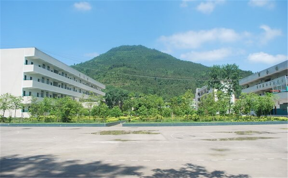金山中學(xué)學(xué)校環(huán)境如何？