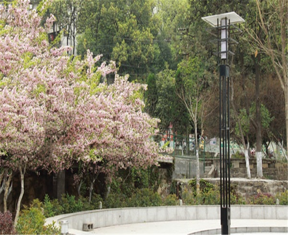 廣元實驗中學學校招辦電話是多少？