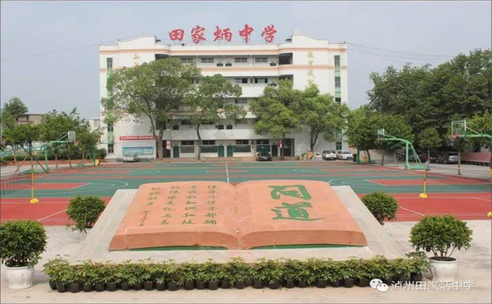 瀘洲市田家炳中學(xué)是公辦學(xué)校嗎？