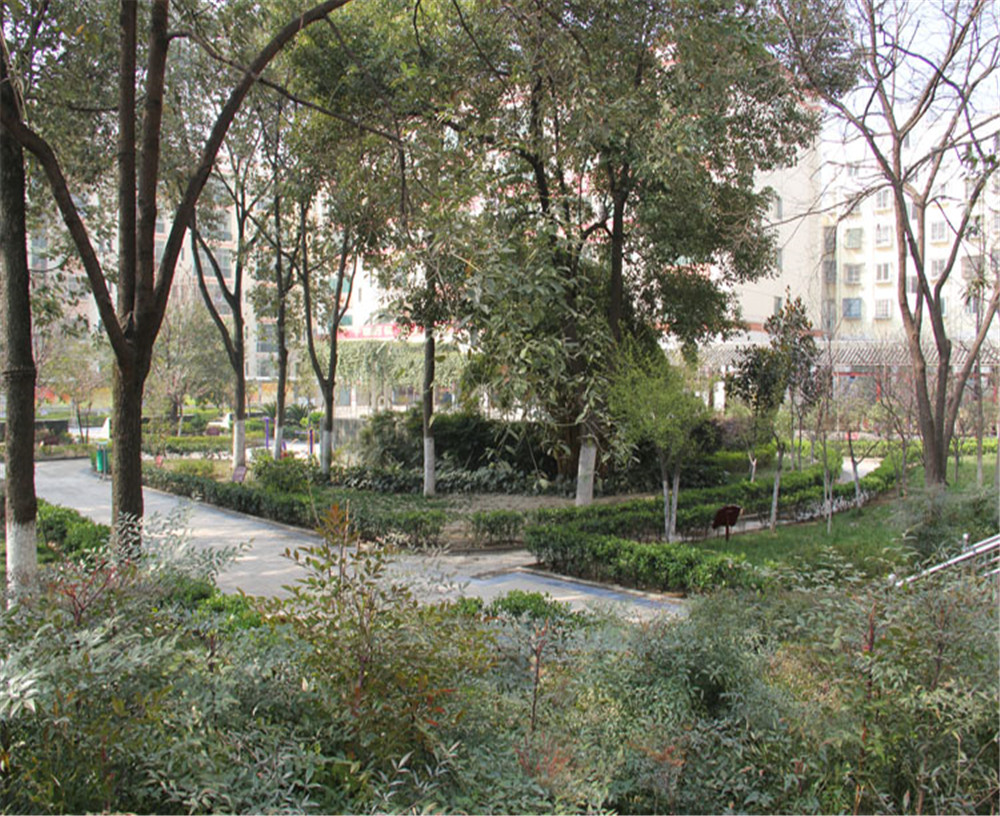 寶輪中學(xué)詳細(xì)地址在什么地方？