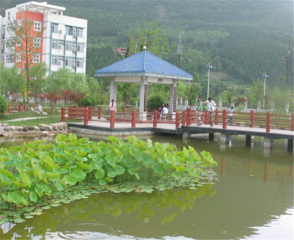 廣元外國語學(xué)校2020年學(xué)校招生簡章公布了嗎？