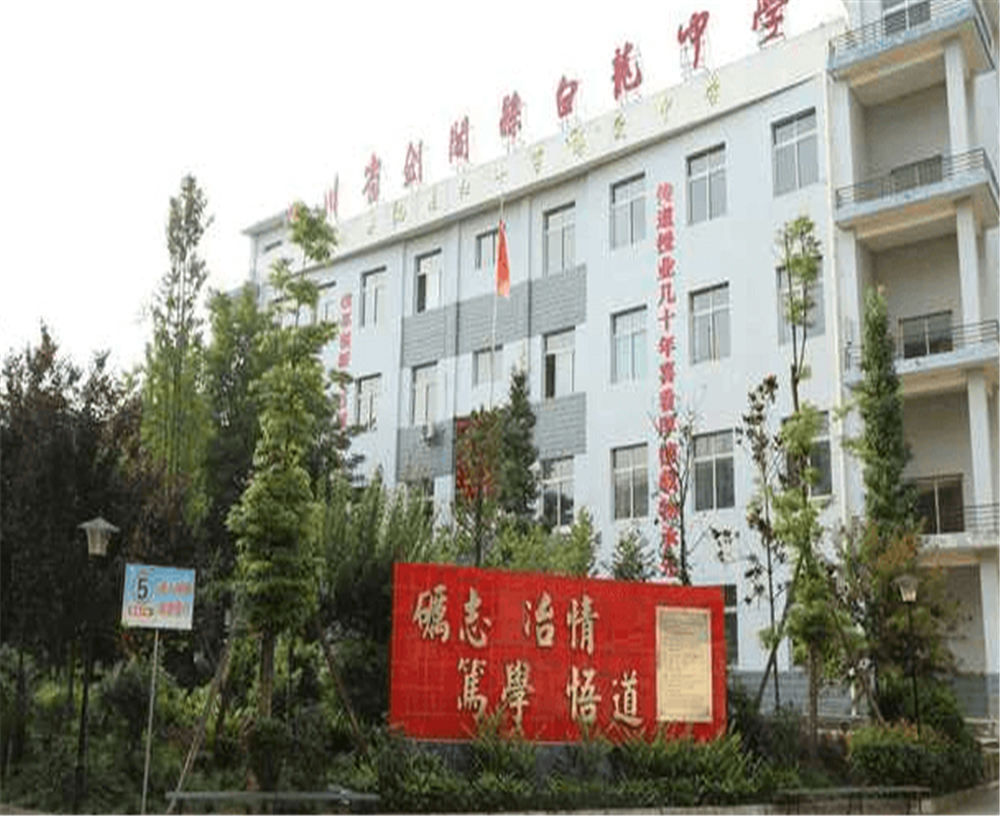 白龍中學(xué)2020年招生計(jì)劃公布了嗎？