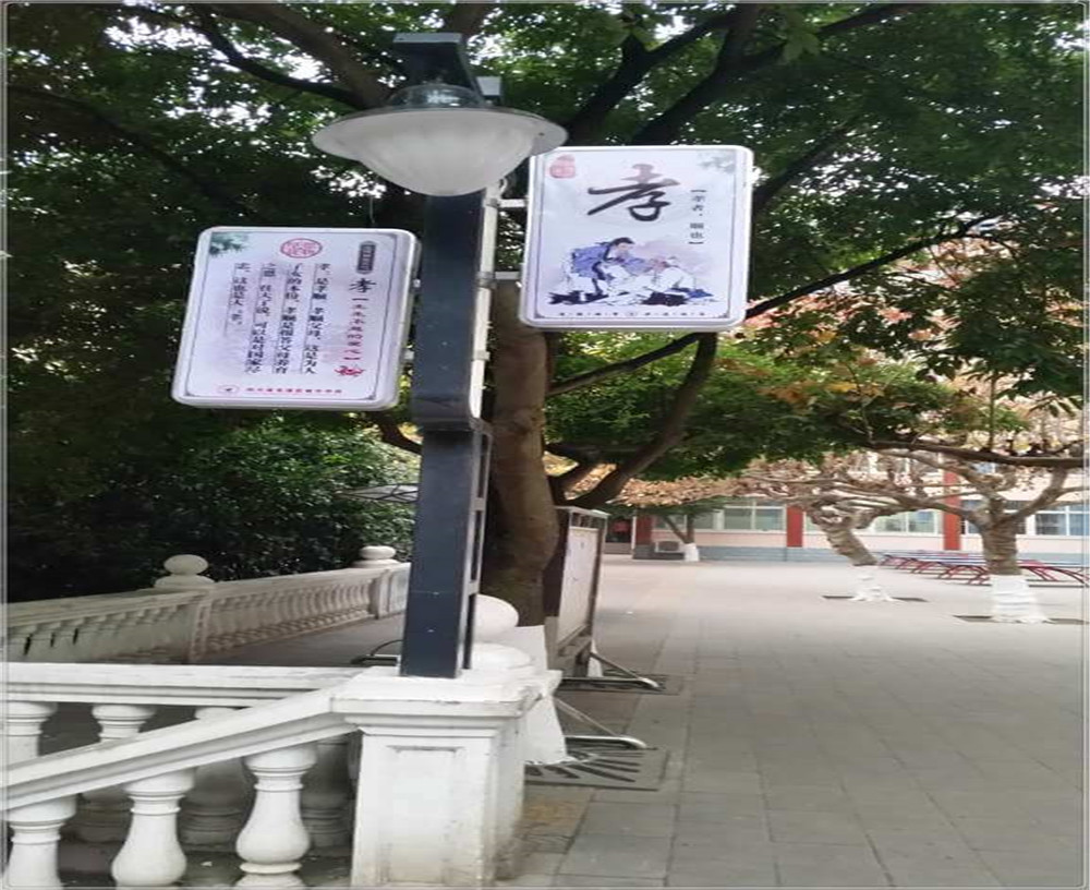 蒼溪實驗中學(xué)2020年的招生簡章發(fā)布了嗎？