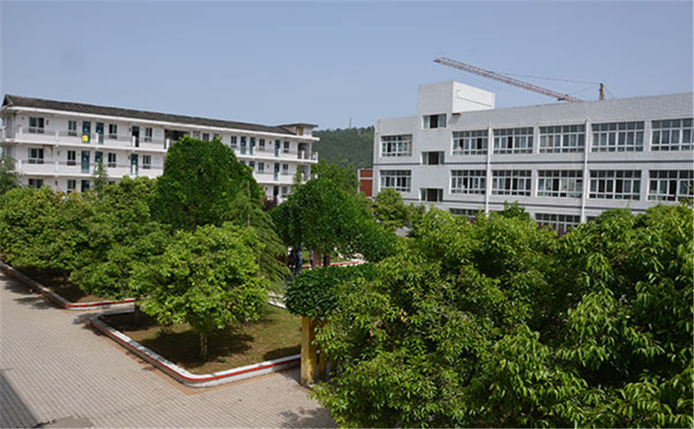 曾口中學(xué)2020年招生計劃公布了嗎？