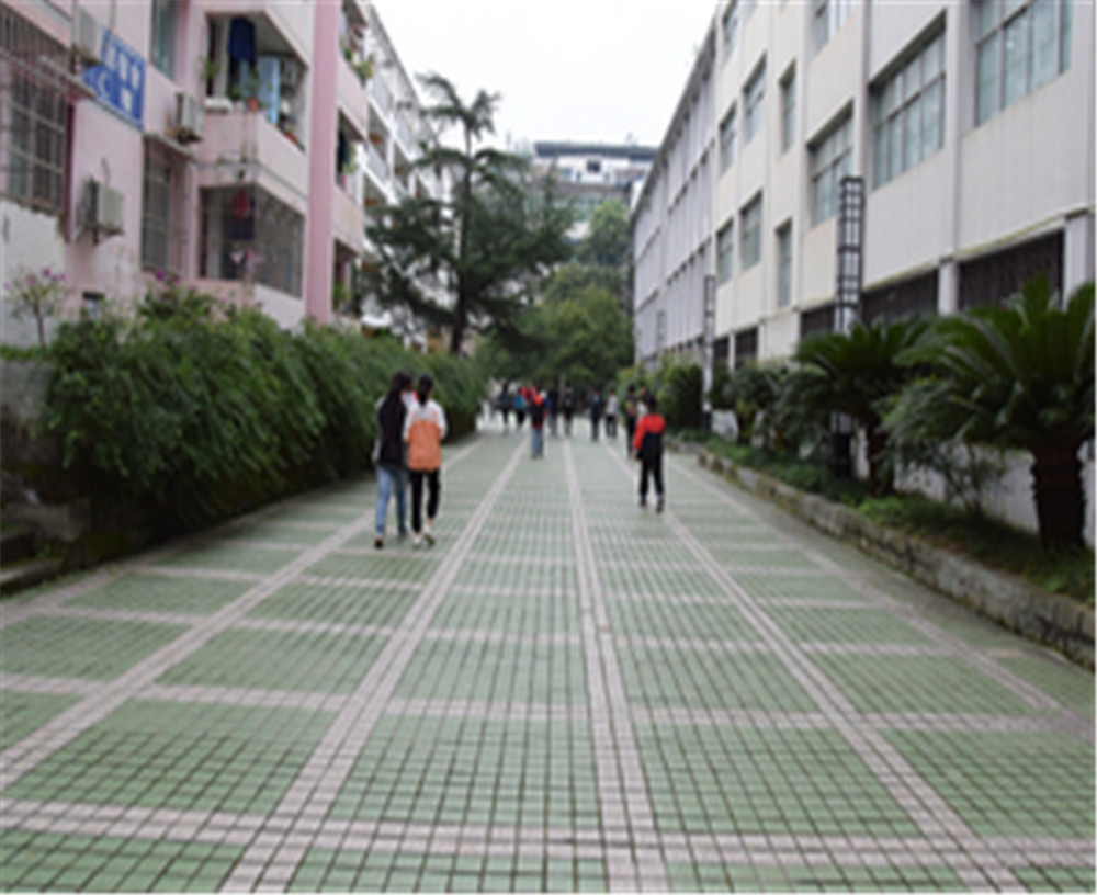 歧坪中學2020年的錄取分數(shù)是多少？