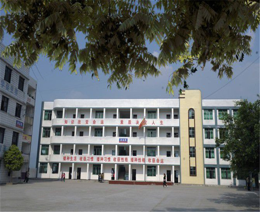 臨巴中學的詳細地址在什么地方？