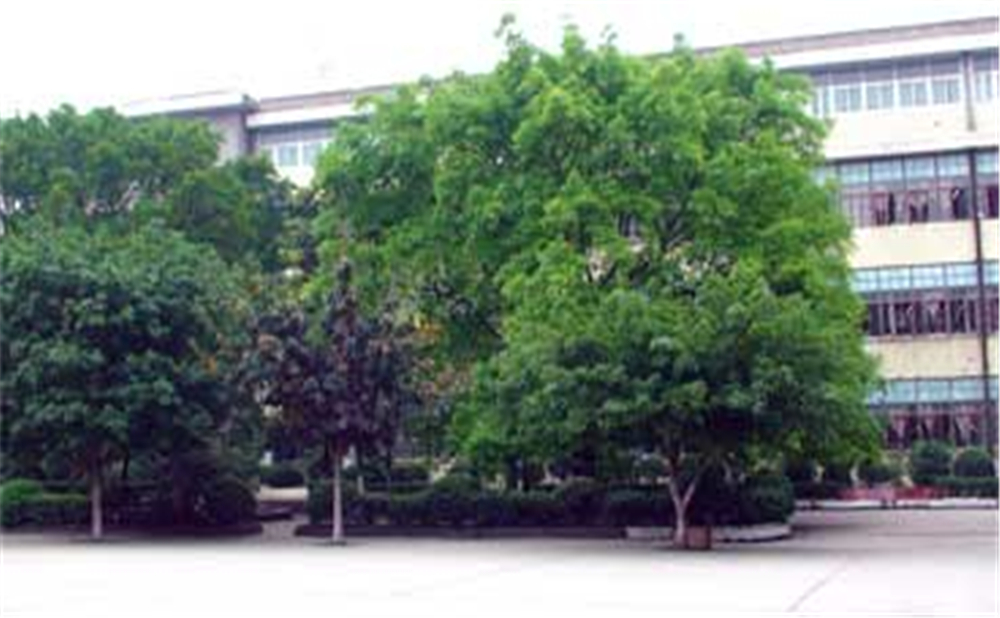 威遠(yuǎn)縣自強中學(xué)學(xué)校環(huán)境怎么樣？