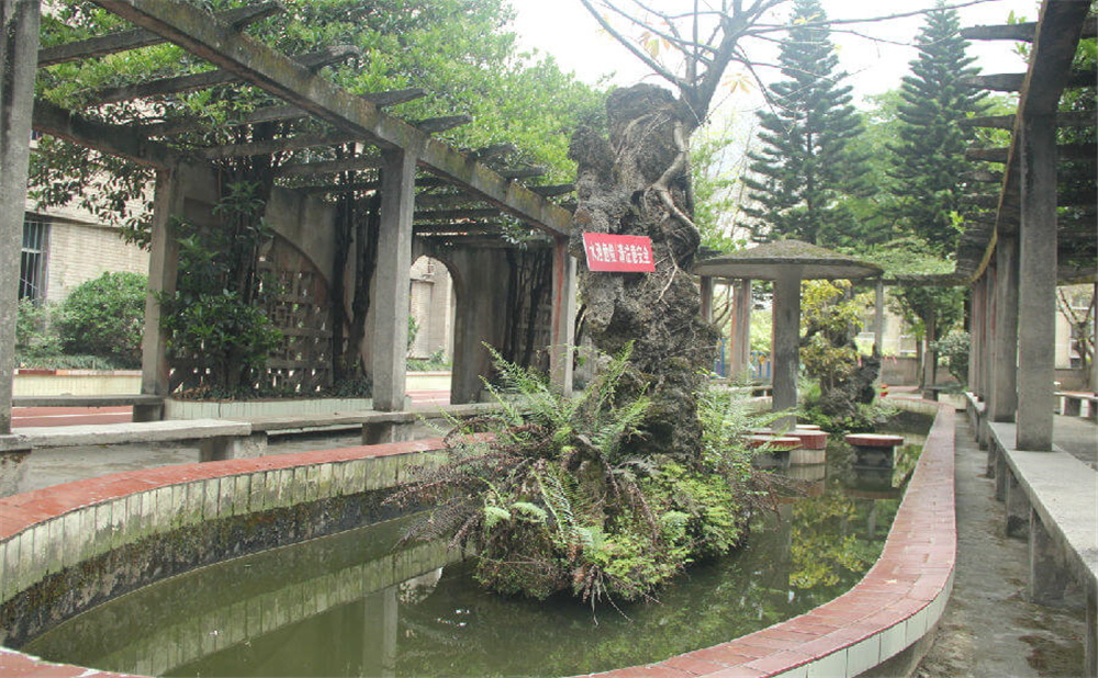 內(nèi)江鐵路中學(xué)學(xué)校環(huán)境怎么樣？