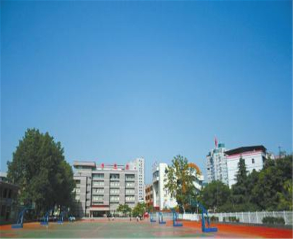 達(dá)川中學(xué)2020年的招生簡(jiǎn)章發(fā)布了嗎？