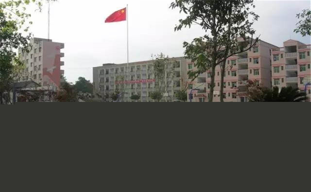 內(nèi)江市第十一中學(xué)學(xué)校環(huán)境怎么樣？