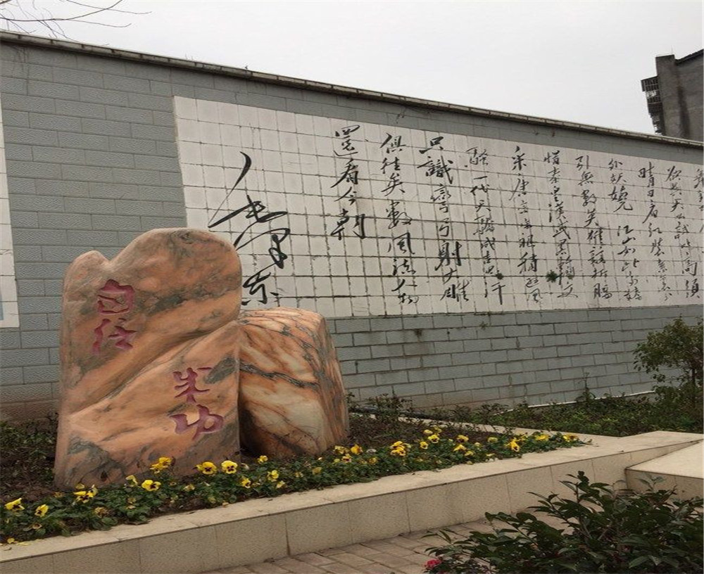 蒲家中學(xué)2020年招生計(jì)劃在哪兒看？