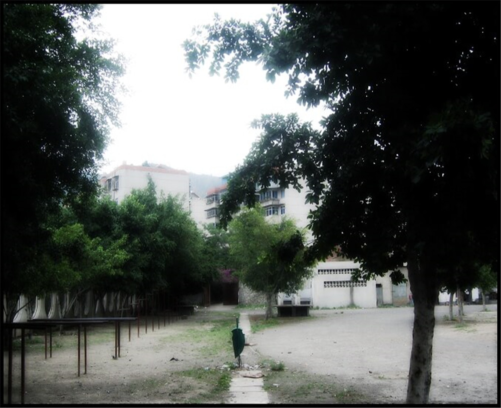 攀枝花市延邊縣中學(xué)校招辦電話是多少？