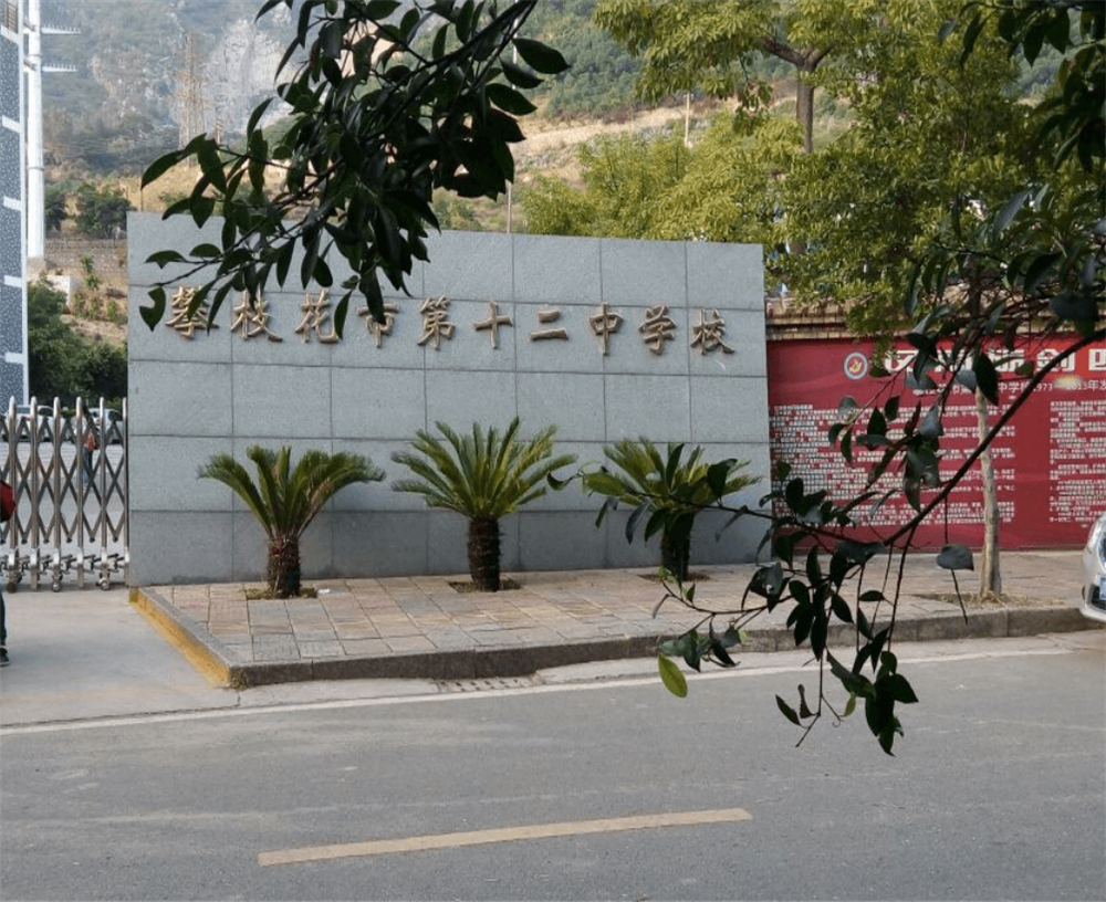攀枝花市第十二中學(xué)校2020年招生簡章在哪兒看？