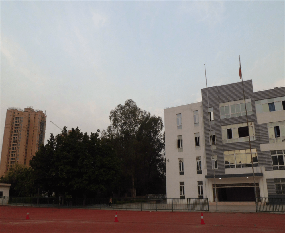 四川省攀枝花市第九中學(xué)校招辦電話是多少？