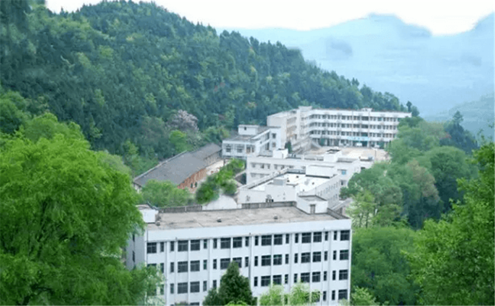 閬中市二龍中學(xué)2020年學(xué)校學(xué)費(fèi)多少錢一年？