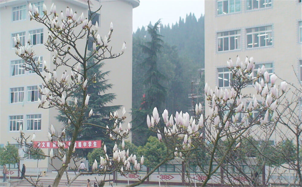 建興中學(xué)2020年中考錄取分?jǐn)?shù)線多少分？
