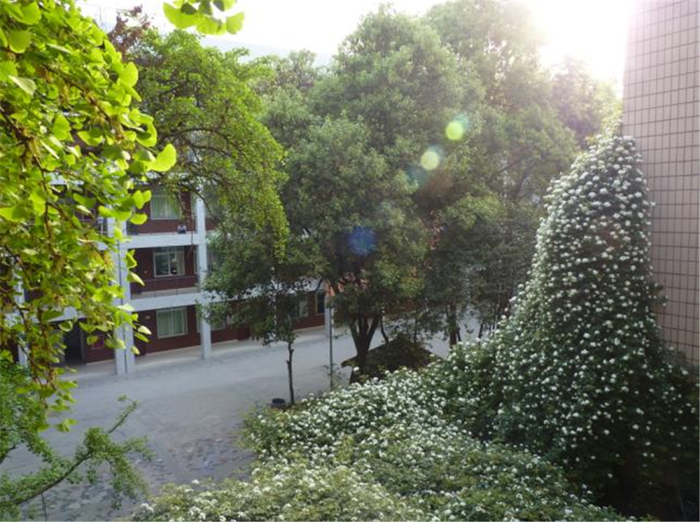 石室聯(lián)合中學(xué)蜀華分校的升學(xué)率怎么樣？