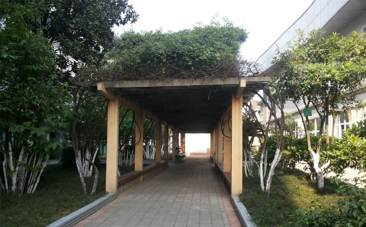通錦中學(xué)的高中怎么樣？