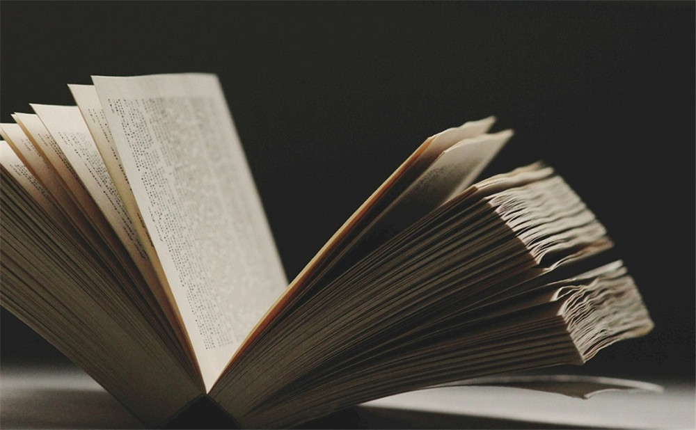 2020年中考英語(yǔ)滿(mǎn)分作文參考范文：What is College Like