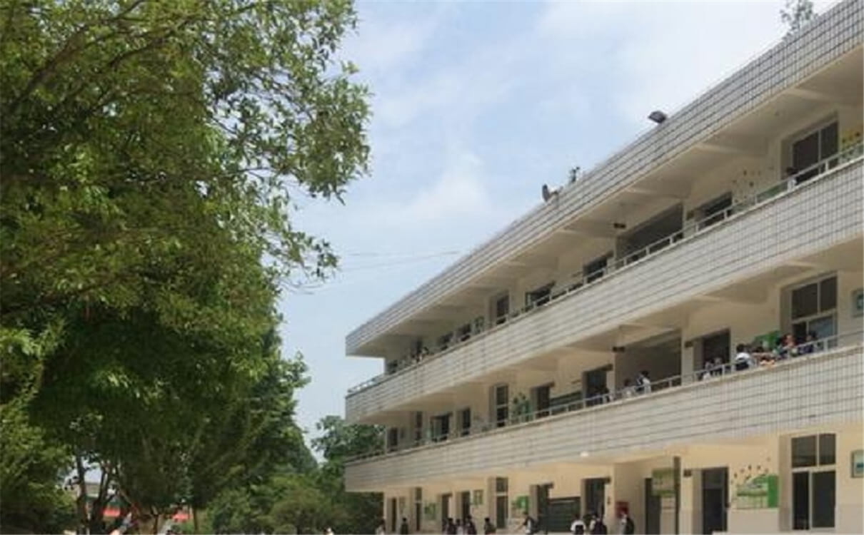 成都市太平中學育才的升學率是多少？