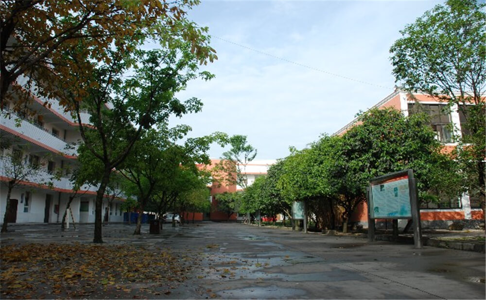 大邑中學(xué)育才的升學(xué)率是多少？