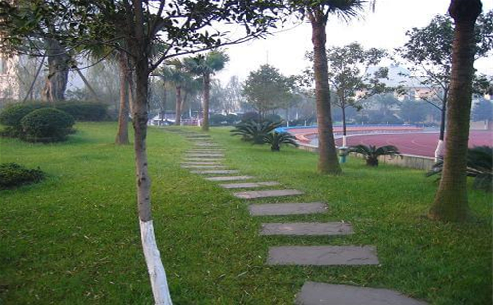 成都石室佳興外國語學(xué)校外招生一年的學(xué)費(fèi)是多少錢？