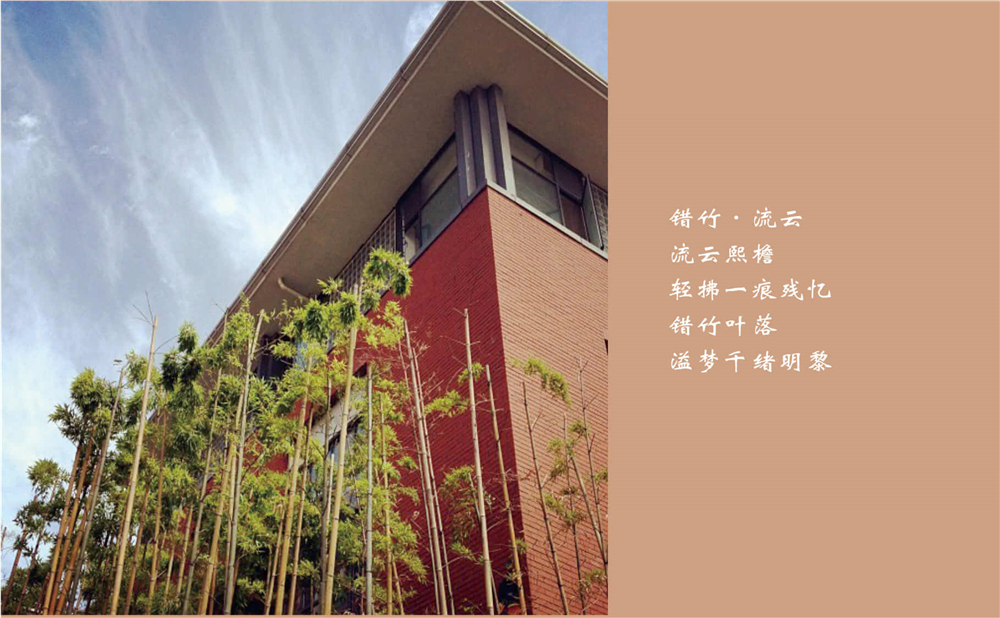 成都七中的高考升學(xué)率是多少？