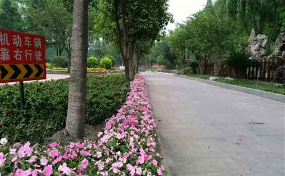玉壘學(xué)校的老師怎么樣？