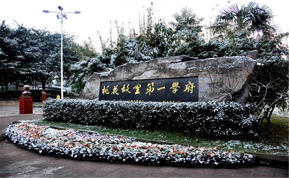 成都市龍泉中學(xué)的高考升學(xué)率是多少？