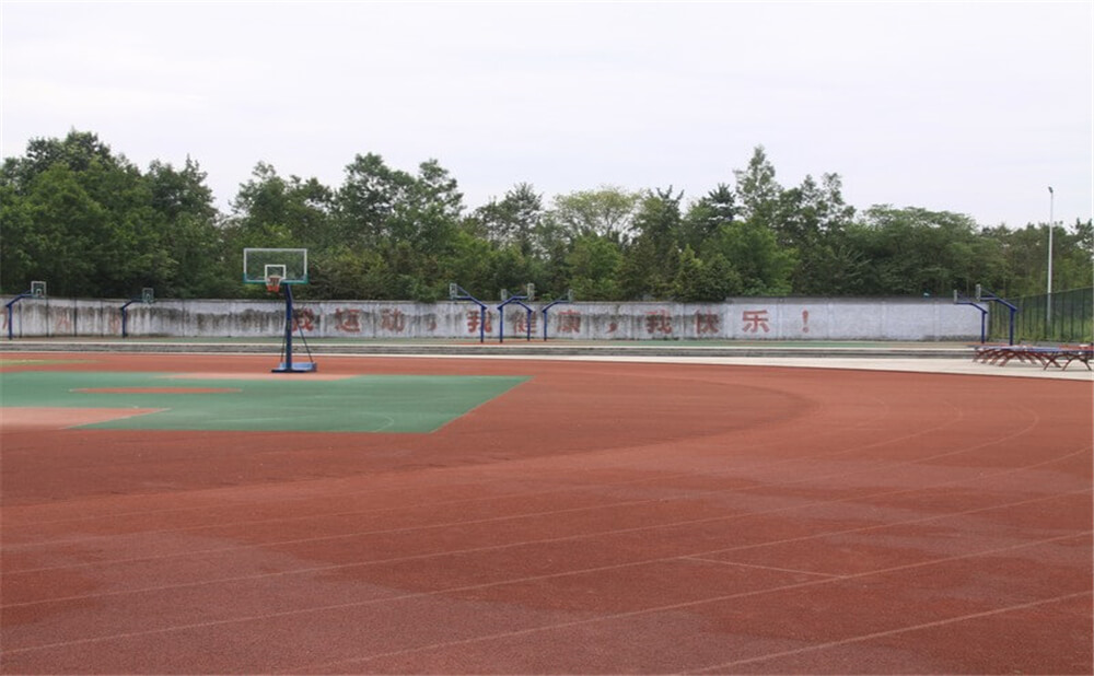樹德懷遠(yuǎn)中學(xué)2020年招生計(jì)劃在哪兒看？