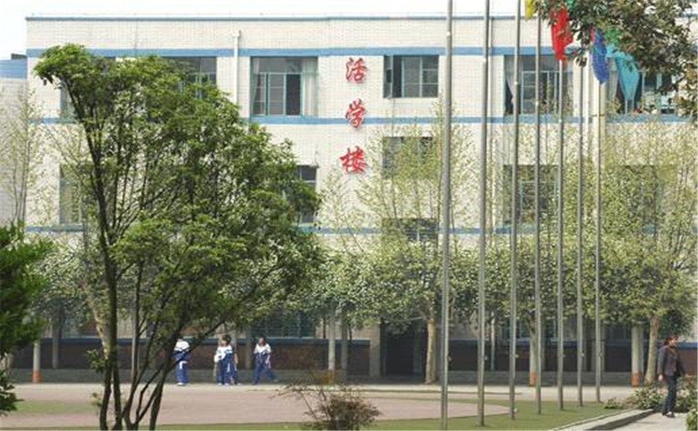 成都成飛中學(xué)2020年招生標(biāo)準(zhǔn)是多少？
