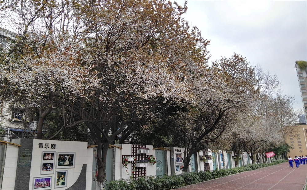 成都大學(xué)附屬中學(xué)2020年招生標準在哪兒看？