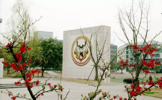 成都實(shí)驗(yàn)外國(guó)語(yǔ)學(xué)校（西區(qū)）2020年的招生標(biāo)準(zhǔn)是什么？