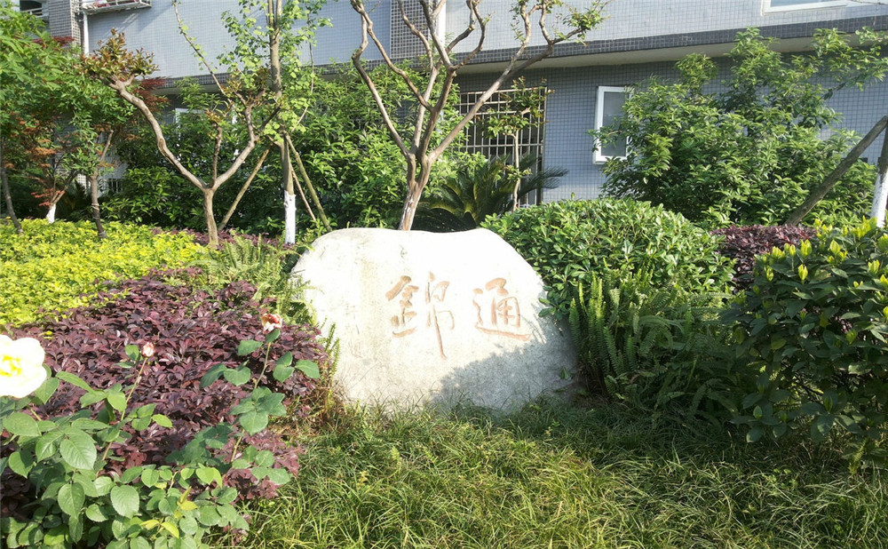 通錦中學(xué)2020年招生標(biāo)準(zhǔn)是什么？